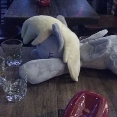 Profile Picture of Kevin Lien (@rezakozen) on Twitter