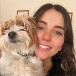 Profile Picture of Ale Zertuche🌻 (@ale.zertuche) on Instagram