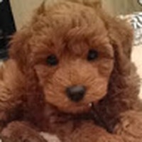 Profile Picture of Lesly Makowski (@lesly-makowski) on Quora