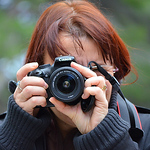 Profile Picture of Christiane Grimault (@christiane.grimault) on Flickr