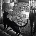 Profile Picture of Graham McKenzie-Smith (@gm_s) on Instagram