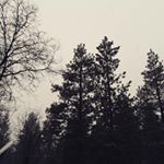 Profile Picture of Adam Longley (@4_football_yeet) on Instagram