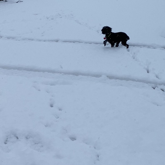 Profile Picture of Derek Clark (@dclark3704) on Poshmark