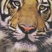 Profile Picture of Baisy Baisy (@baisy.baisy.750) on Facebook