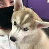 Profile Picture of Patrick Topper (@@patricktopper1) on Tiktok