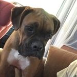 Profile Picture of Jeremy Noone (@jnoone10) on Instagram