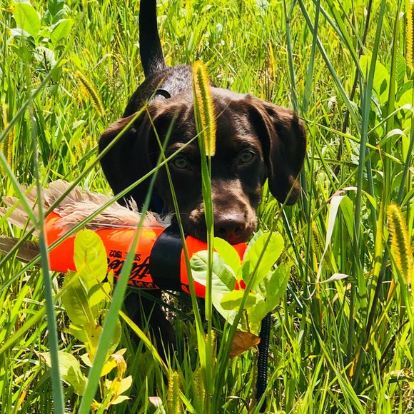 Profile Picture of Cody Vandenbosch (@codyvandenbosch) on Poshmark