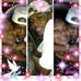 Profile Picture of Ebony Spivey (@ebony.spivey) on Facebook