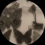 Profile Picture of 𝔰𝔢𝔩𝔳𝔦 𝔯𝔦𝔞𝔫𝔦 (@_xyslviri23) on Instagram