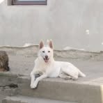 Profile Picture of Bobita Felix (@Bobita-Felix) on Facebook