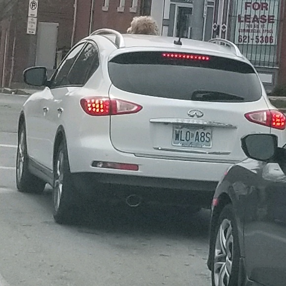 Profile Picture of Charles Faigle (@rammers1999) on Poshmark