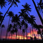 Profile Picture of seth_gladden (@seth_gladden) on Instagram