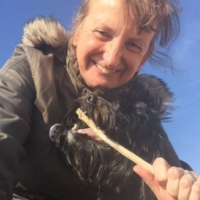 Profile Picture of Sue Gould (@gould_sue) on Twitter