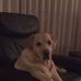 Profile Picture of Wilma Emmen (@wilma.emmen.5) on Facebook