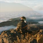 Profile Picture of I’m Michael (@tyger.style) on Instagram