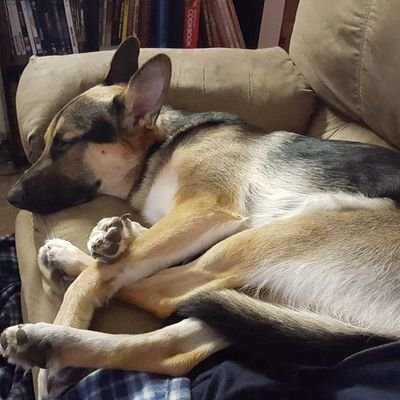 Profile Picture of Paul Punley (@PaulPunley) on Twitter