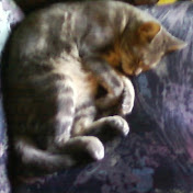 Profile Picture of Robert Chretien (@robertchretien9230) on Youtube