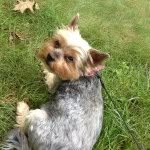 Profile Picture of Jeri S (@jeri_soderholm) on Instagram