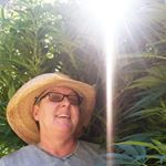 Profile Picture of Jean Barron (@goldstargrammagreen) on Instagram