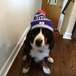 Profile Picture of Tanner (@wallst2112) on Instagram