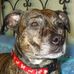 Profile Picture of Pucci Puccerella (@pucci.puccerella) on Facebook