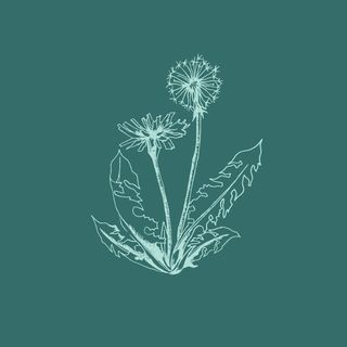 Profile Picture of Dandelion Jewelry and Gifts (@dandelionjewelry) on Instagram