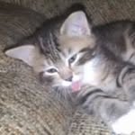 Profile Picture of George Heise (@georgeheise) on Instagram