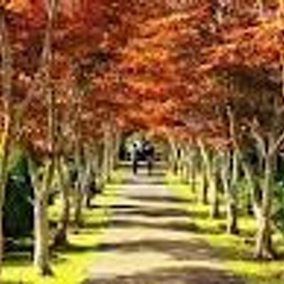 Profile Picture of ヒロ・マスダ./.Hiro.Masuda (@ghttmschaety9) on Twitter