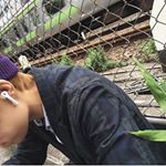 Profile Picture of 辛宝 (@gingerbreadjim) on Instagram