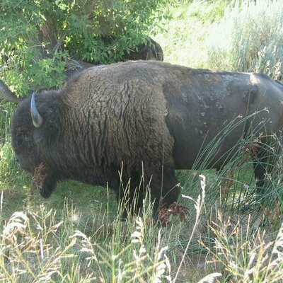 Profile Picture of Jim Howitt (@JimHowitt1) on Twitter