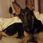 Profile Picture of Derrick Larkin (@larkin.derrick) on Instagram