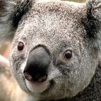 Profile Picture of Raina Edwards (@raina-edwards-1) on Quora