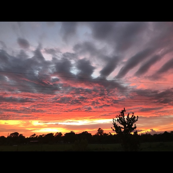 Ginger Brock - Poshmark Profile Picture of Ginger Brock (@gingerbrock) on Poshmark