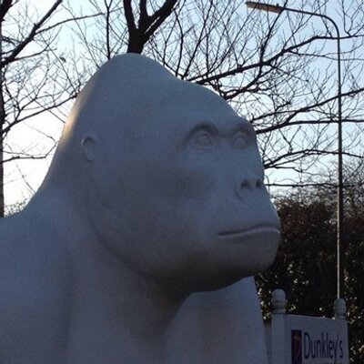 Profile Picture of Mike Dunkley (@mikedunkley1) on Twitter