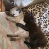 Profile Picture of Christopher Leath781 (@@christopherleath) on Tiktok