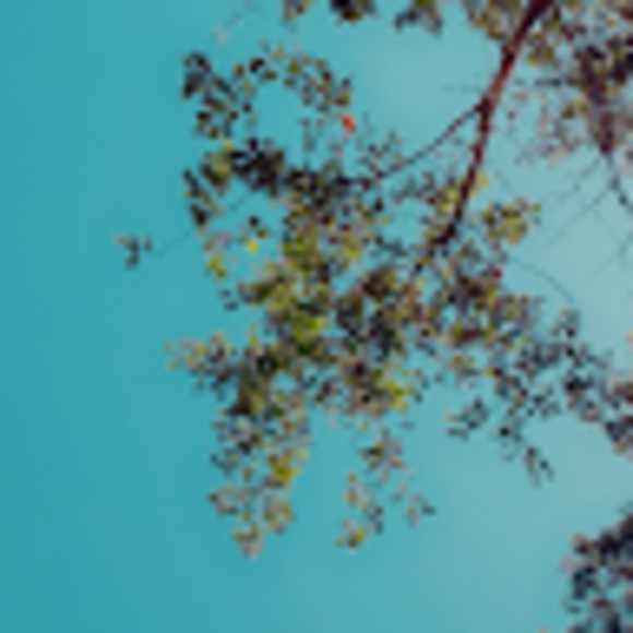 Profile Picture of Selma Chilgren (@selmamay) on Poshmark