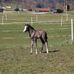 Profile Picture of Karl Klinger (@karl.klinger.9083) on Facebook