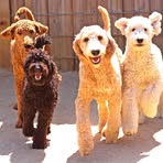 Profile Picture of Michael Mitschke (@Michael-Mitschke) on Facebook