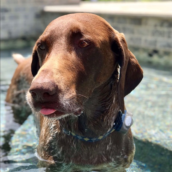 Profile Picture of Alex Nunn (@alexnunn9) on Poshmark