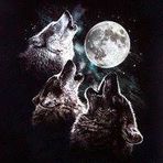 Profile Picture of Cindy Steeves (@cindy.steeves.507) on Facebook