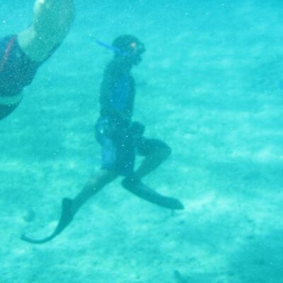 Profile Picture of Yang Alice Cheng (@YangAliceCheng) on Twitter