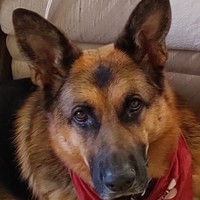 Profile Picture of Clyde Edward Blanton (@clyde-edward-blanton) on Quora