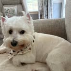 Profile Picture of Yulia Patton (@Yulia-Patton) on Facebook