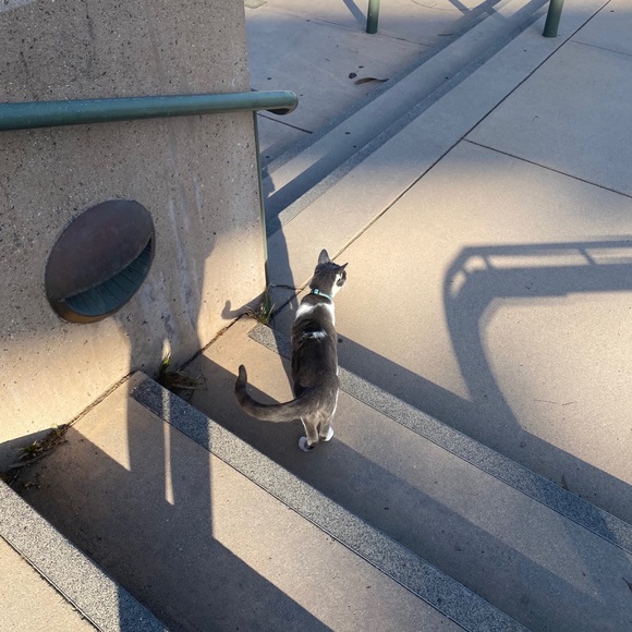 Profile Picture of Maija Lindstedt (@maijaquinn) on Poshmark