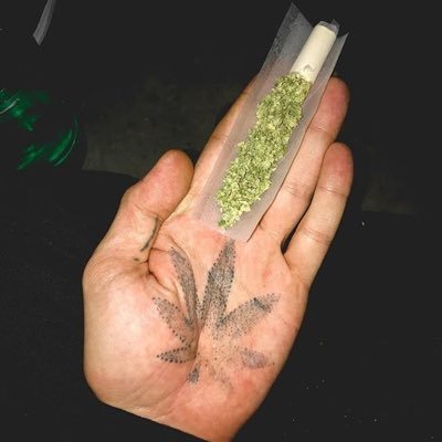 Profile Picture of Weed (@tweetme_david) on Twitter