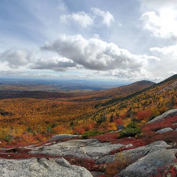 Profile Picture of Minho No (@minhono) on Poshmark