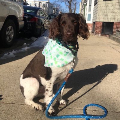 Profile Picture of Thomas Regan (@notfarSoBoston) on Twitter