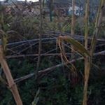 Profile Picture of Franco Matera (@francomater) on Instagram