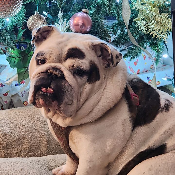 Profile Picture of Lisa Burns (@badmimi2144) on Tiktok