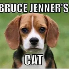 Profile Picture of robertgassman2 (@robertgassman2) on Tiktok